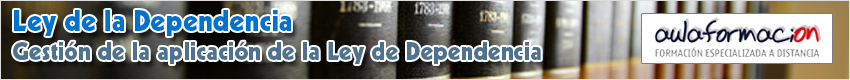 curso-ley-dependencia-banner