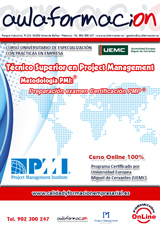 programa-tecnico-superior-project-management-pmi